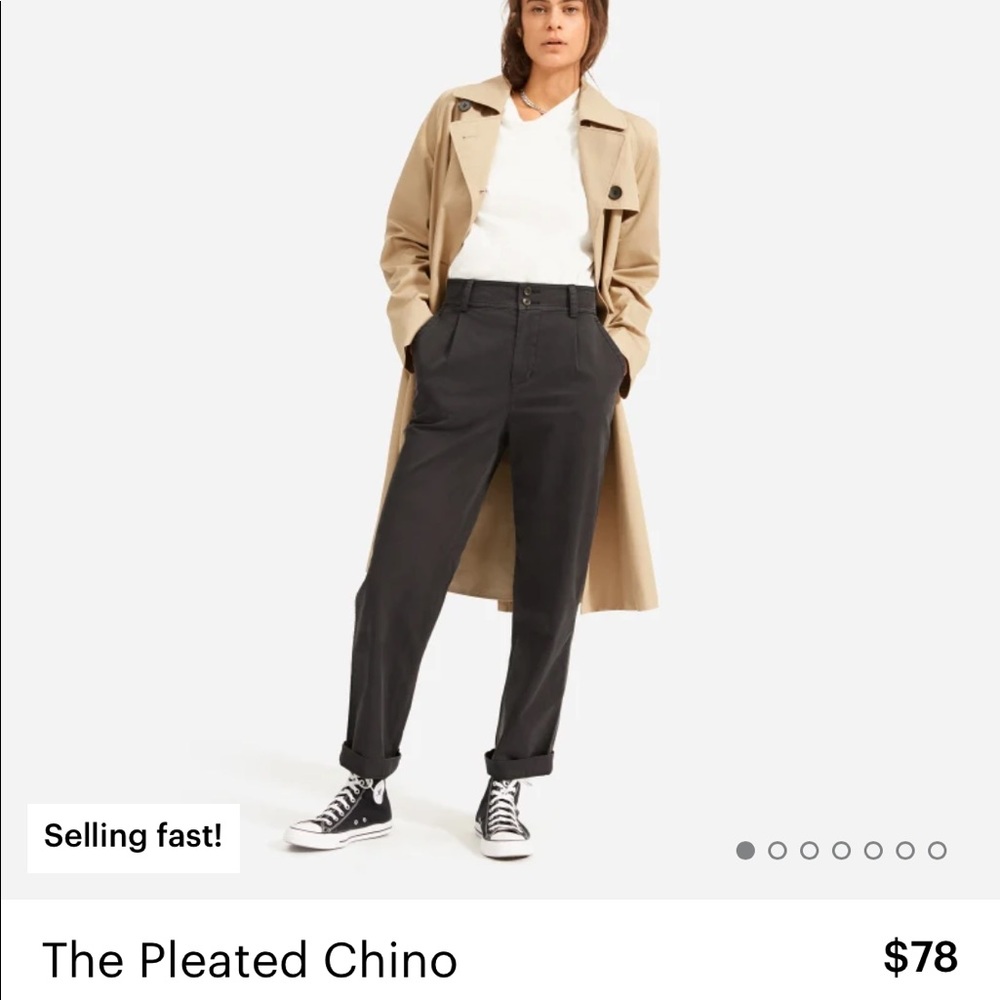 Everlane The Pleated Chino